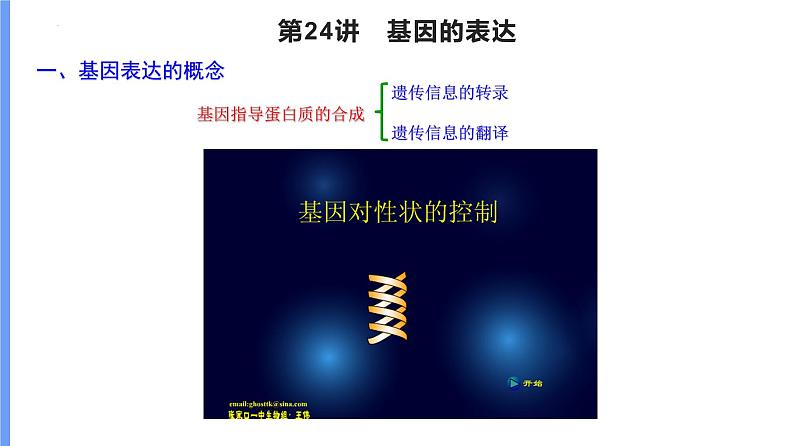 2024届高三一轮复习生物：基因表达及中心法则(一轮复习)课件01