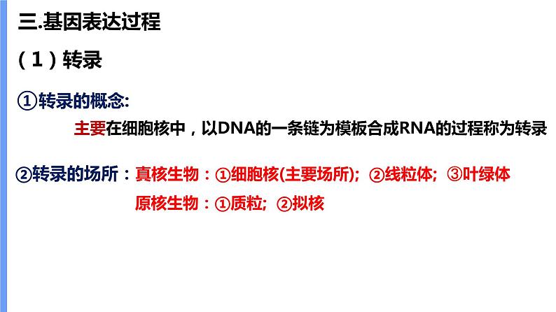 2024届高三一轮复习生物：基因表达及中心法则(一轮复习)课件03