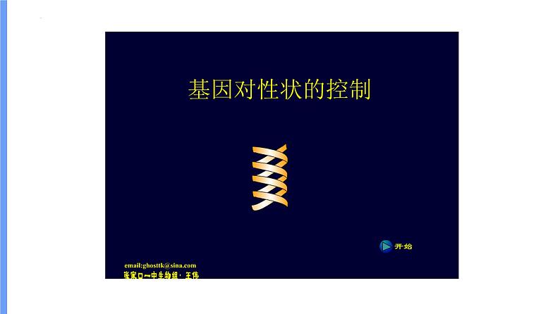 2024届高三一轮复习生物：基因表达及中心法则(一轮复习)课件04