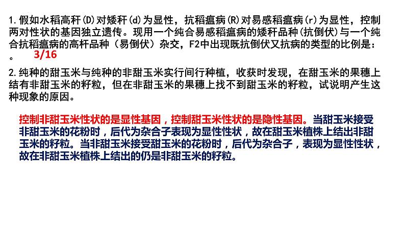 2024届高三一轮复习生物：基因在染色体上、伴性遗传课件第2页