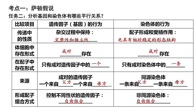 2024届高三一轮复习生物：基因在染色体上、伴性遗传课件第8页