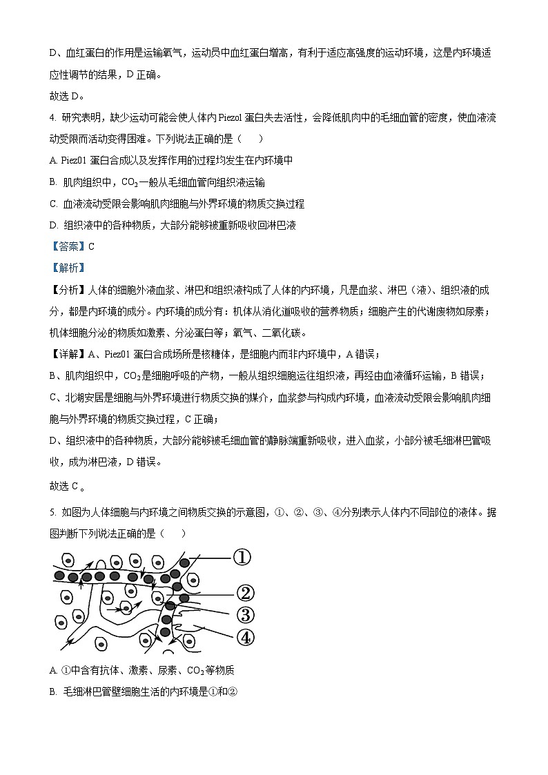 吉林省长春市东北师范大学附中2023-2024学年高二生物上学期期中试题（Word版附解析）第3页