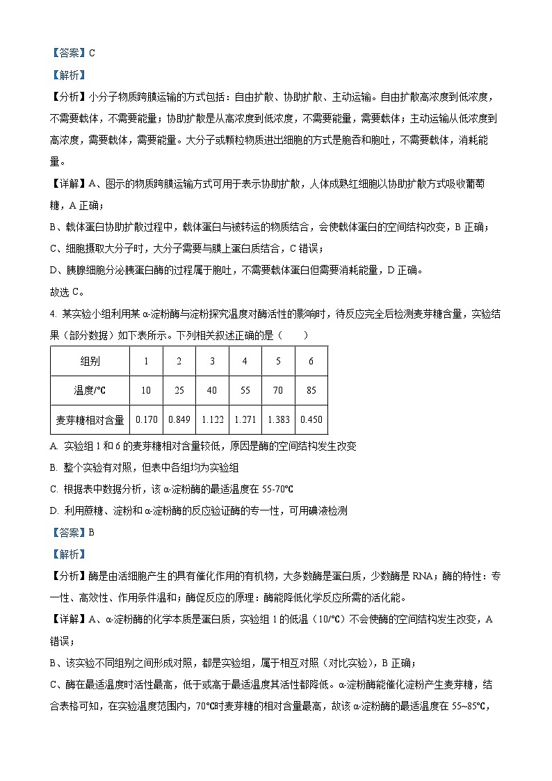 吉林省长春市东北师范大学附中2023-2024学年高三生物上学期10月考试试题（Word版附解析）03