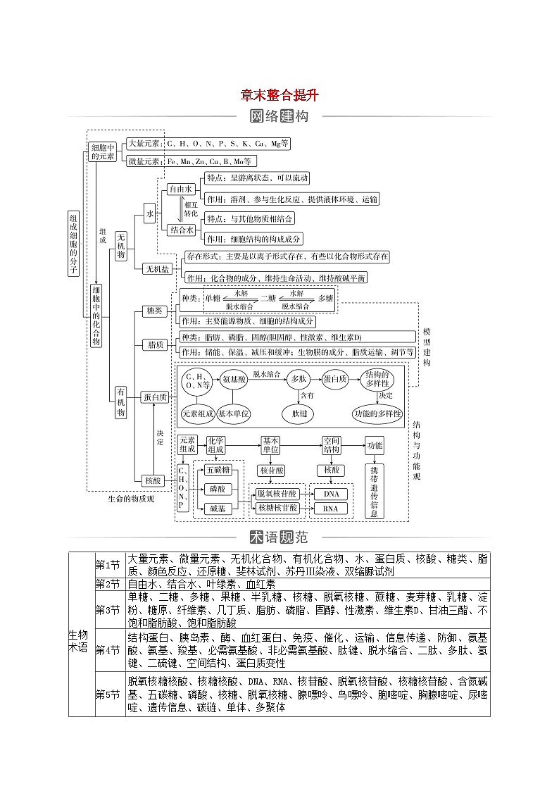 2023_2024学年新教材高中生物第2章组成细胞的分子章末整合提升新人教版必修1第1页