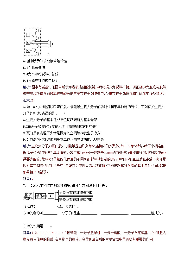 2023_2024学年新教材高中生物第2章组成细胞的分子第5节核酸是遗传信息的携带者课时作业新人教版必修1第2页