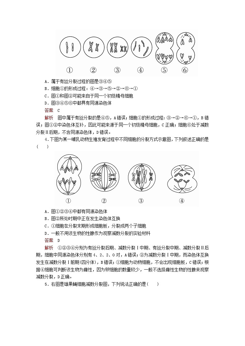 2023年新教材高中生物第2章基因和染色体的关系第1节减数分裂和受精作用第3课时细胞分裂图像判定受精作用课时精练新人教版必修2第2页