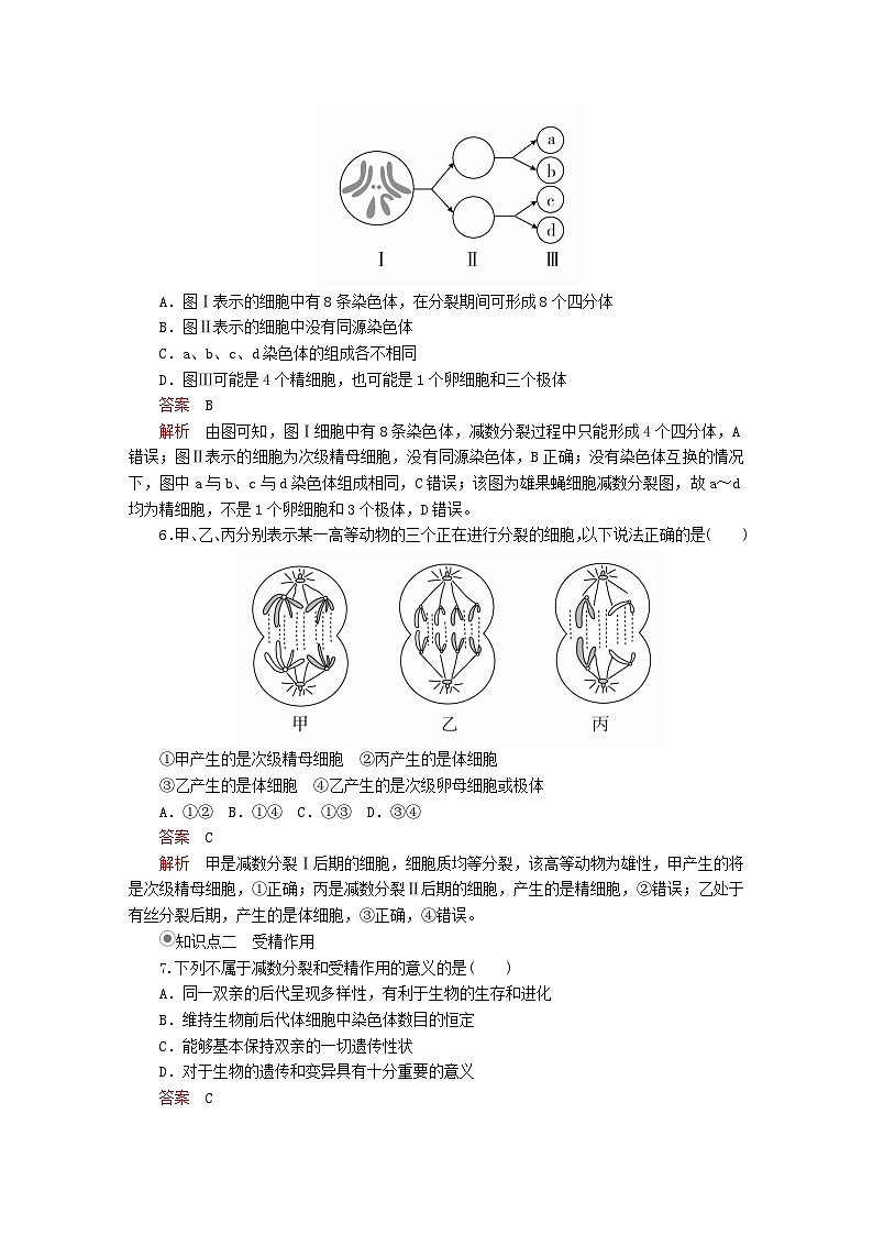 2023年新教材高中生物第2章基因和染色体的关系第1节减数分裂和受精作用第3课时细胞分裂图像判定受精作用课时精练新人教版必修2第3页