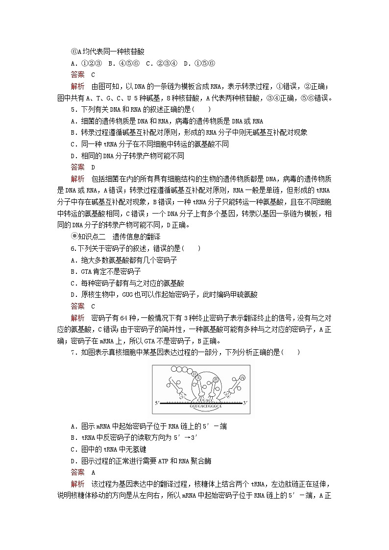 2023年新教材高中生物第4章基因的表达第1节基因指导蛋白质的合成课时精练新人教版必修2第2页