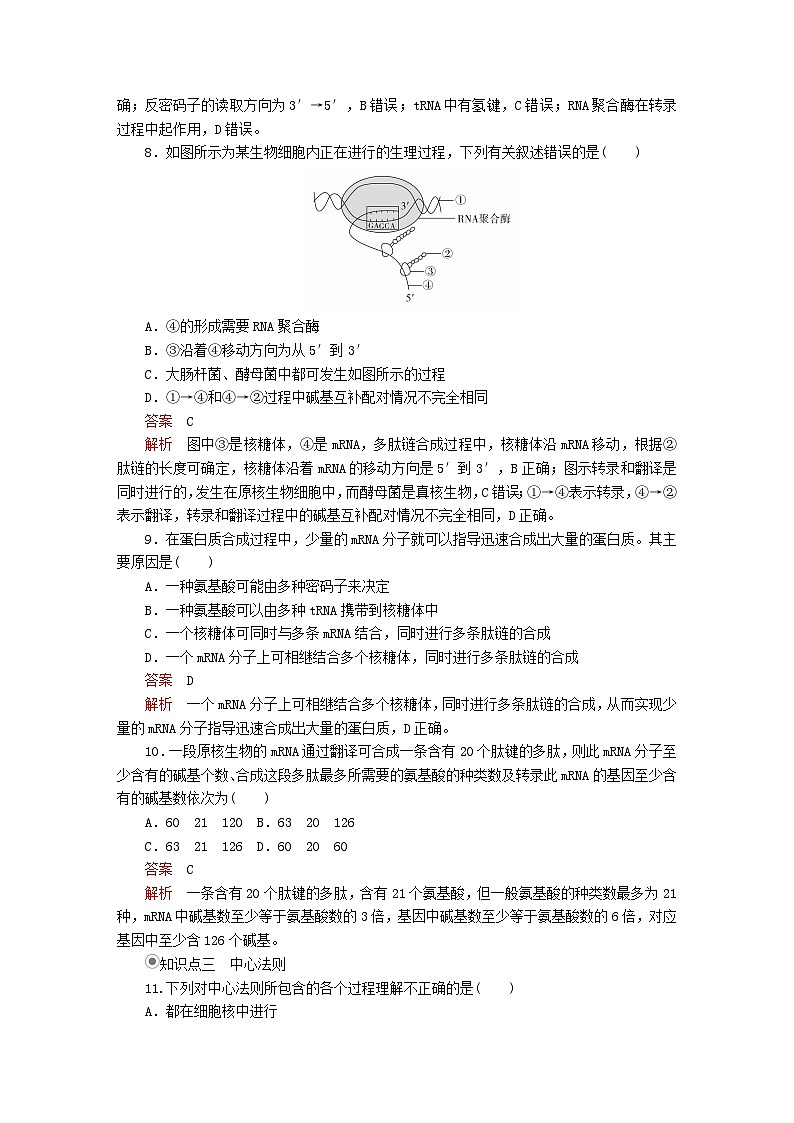 2023年新教材高中生物第4章基因的表达第1节基因指导蛋白质的合成课时精练新人教版必修2第3页