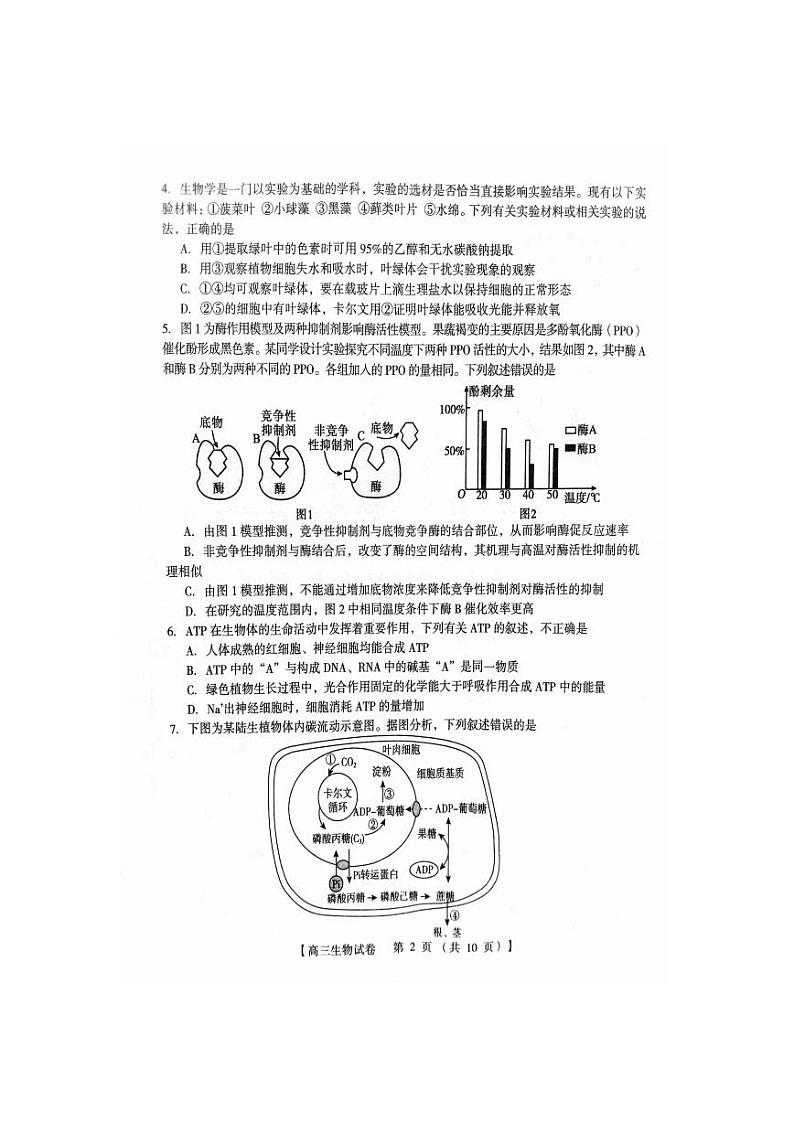 2024河南省六市部分学校联考高三上学期10月阶段性考试生物PDF版含答案第2页