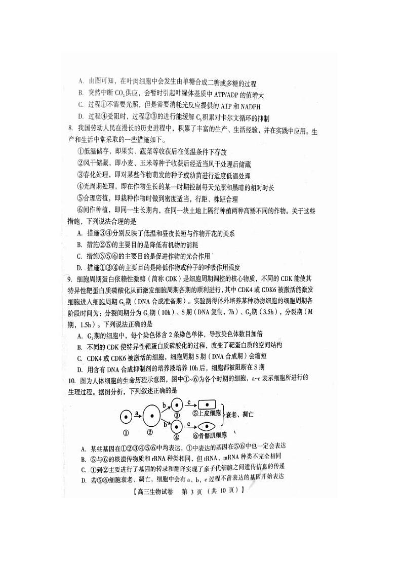 2024河南省六市部分学校联考高三上学期10月阶段性考试生物PDF版含答案第3页