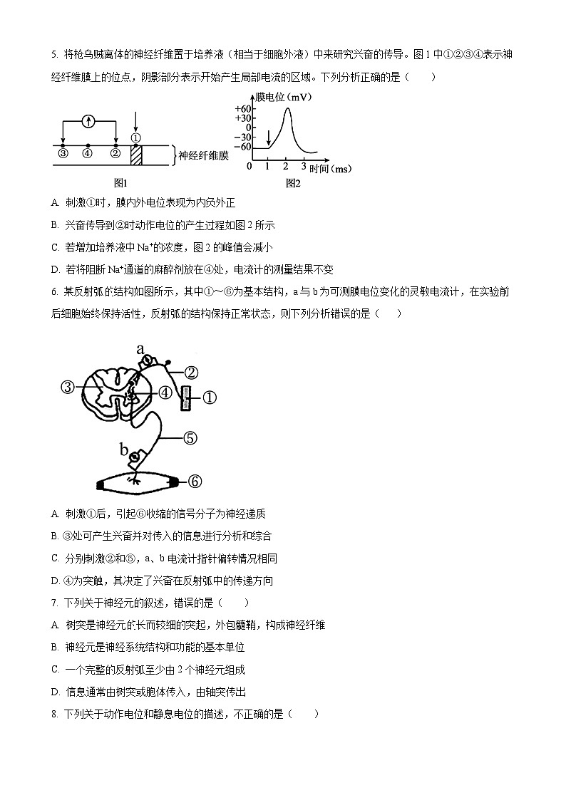 2024四川省仁寿一中北校区高二上学期10月月考生物试题含解析02