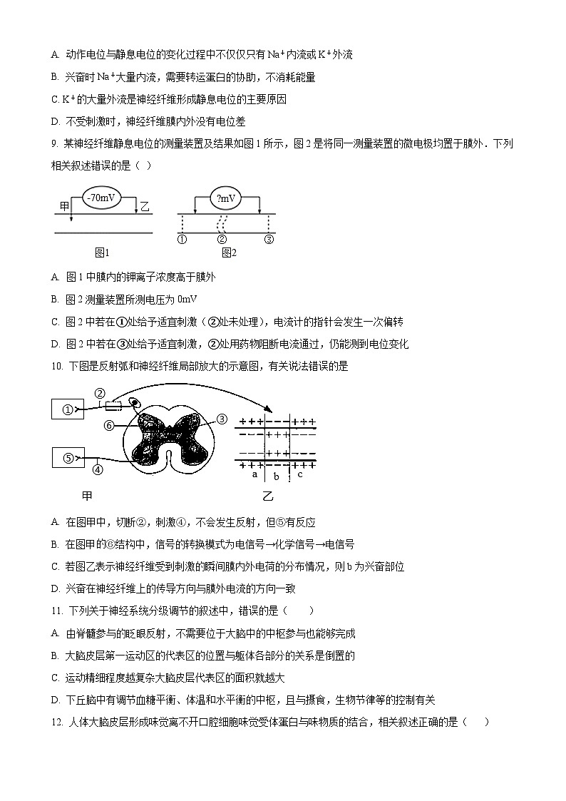 2024四川省仁寿一中北校区高二上学期10月月考生物试题含解析03