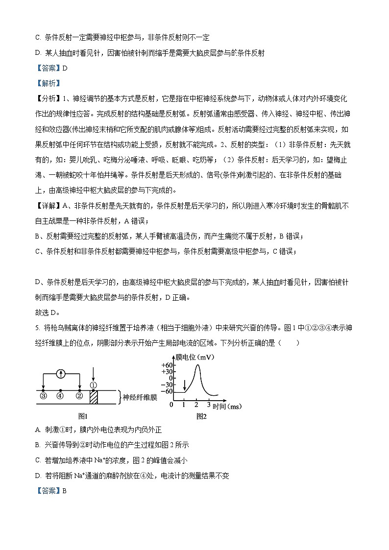 2024四川省仁寿一中北校区高二上学期10月月考生物试题含解析03