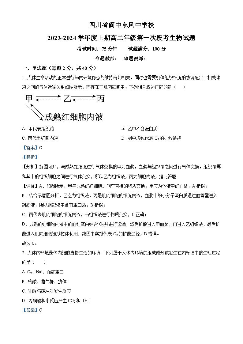 2024南充阆中东风中学高二上学期第一次段考生物试题含解析01