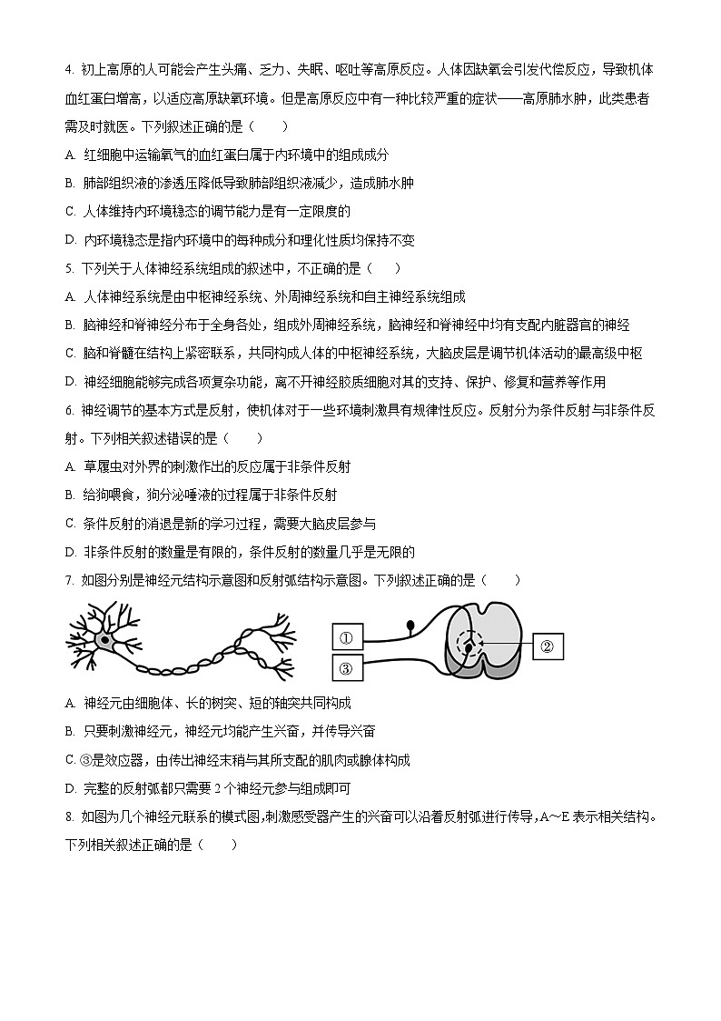 2024南充阆中东风中学高二上学期第一次段考生物试题含解析02