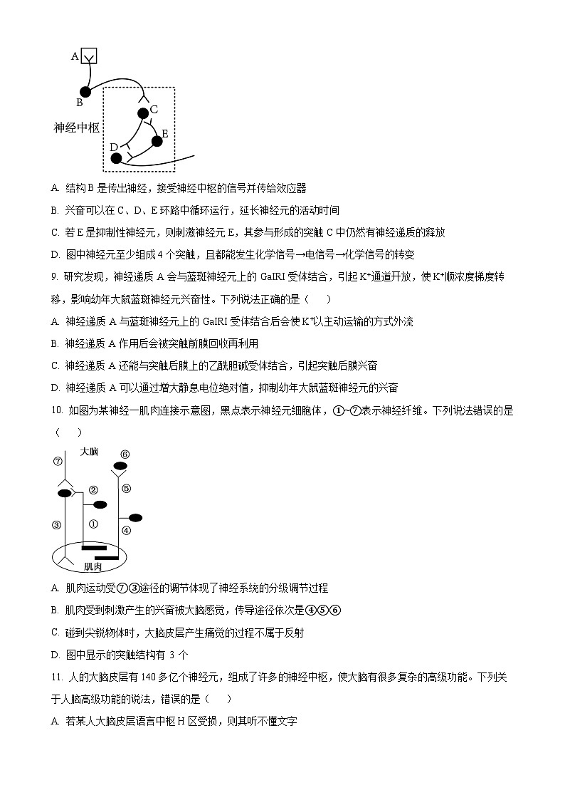 2024南充阆中东风中学高二上学期第一次段考生物试题含解析03