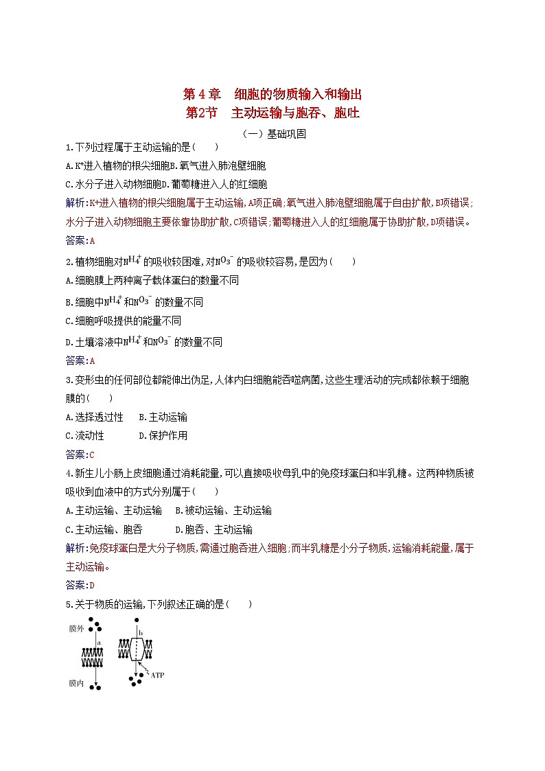 2023_2024学年新教材高中生物第4章细胞的物质输入和输出第2节主动运输与胞吞胞吐课时作业新人教版必修101