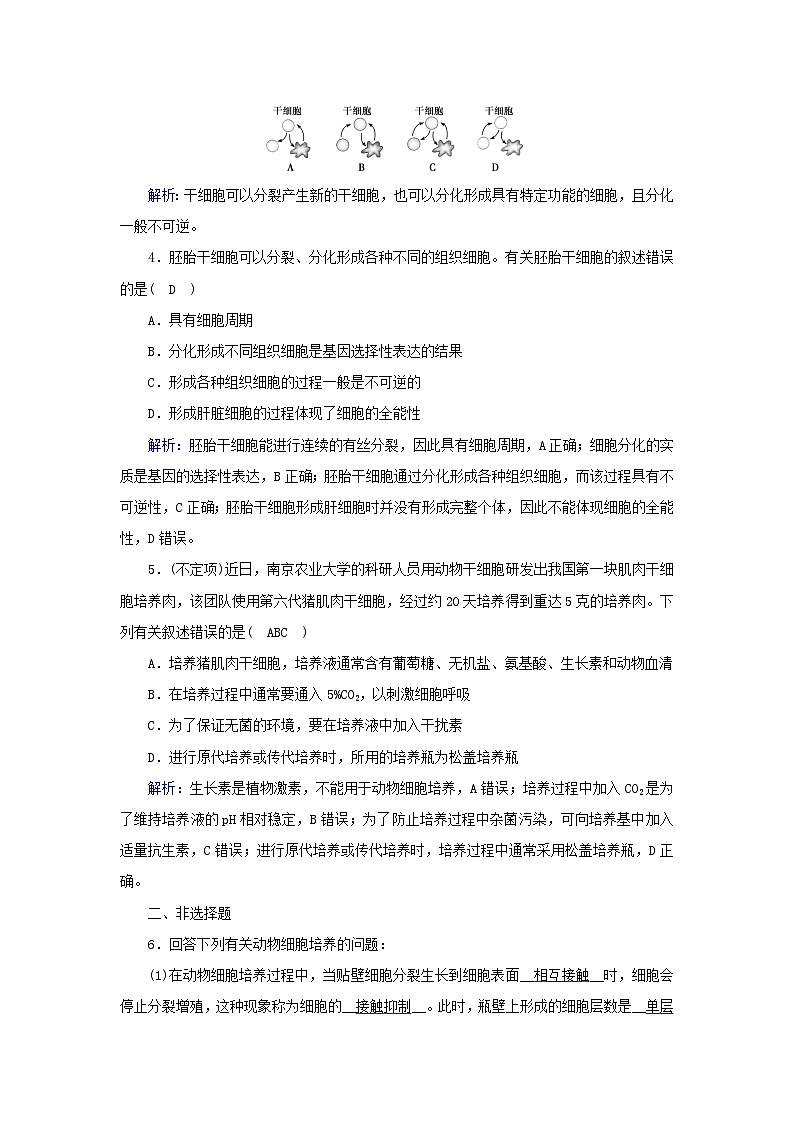 新教材2023年高中生物第2章细胞工程第2节动物细胞工程1动物细胞培养提能作业新人教版选择性必修302