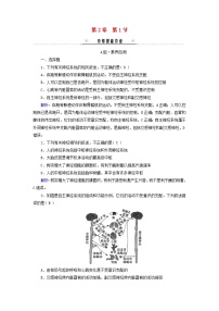 生物选择性必修1第1节 神经调节的结构基础课堂检测