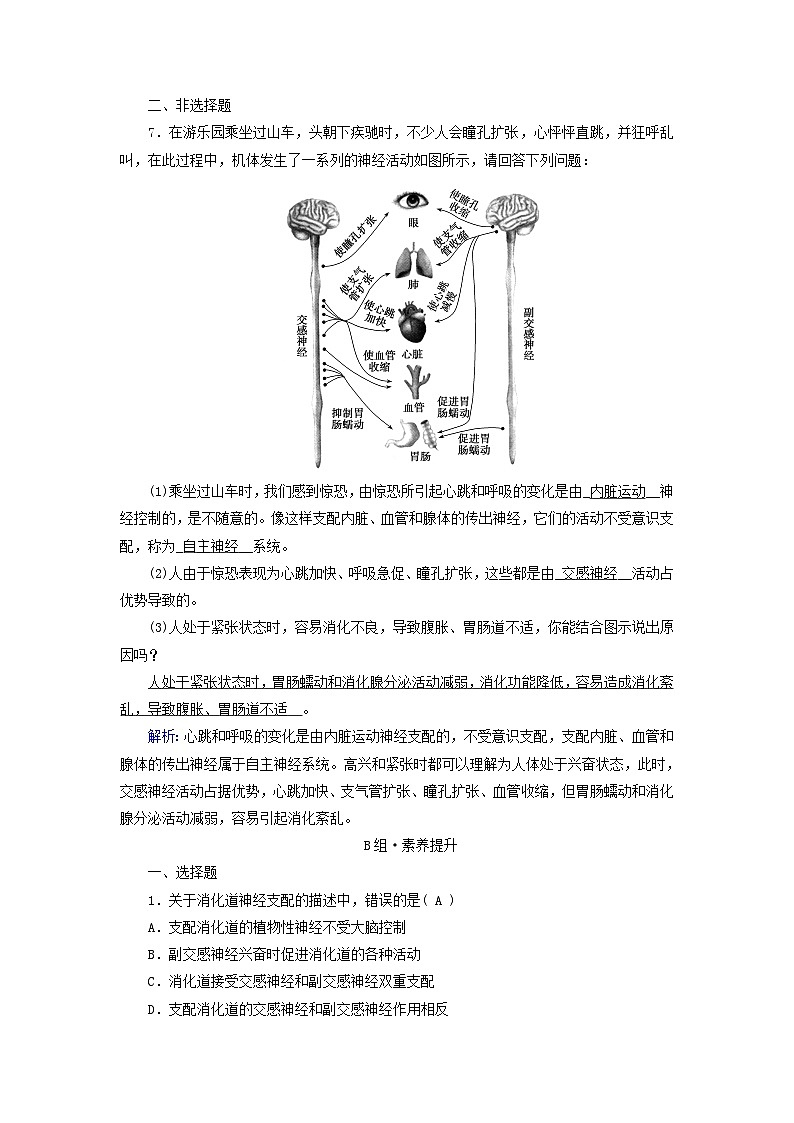 新教材适用2023_2024学年高中生物第2章神经调节第1节神经调节的结构基础提能作业新人教版选择性必修103