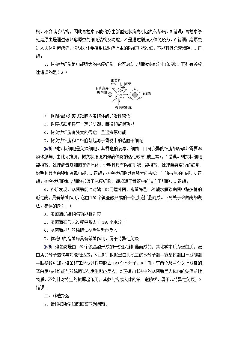 新教材适用2023_2024学年高中生物第4章免疫调节第1节免疫系统的组成和功能提能作业新人教版选择性必修1第2页