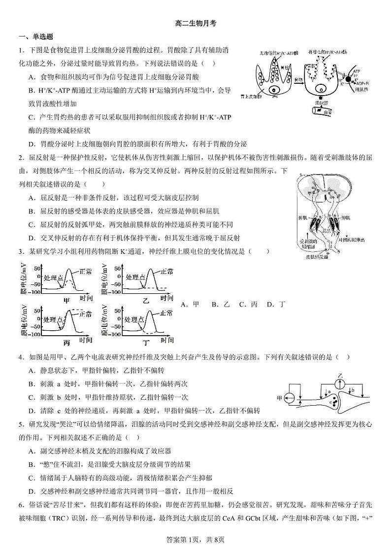 山东省枣庄市第八中学2023-2024学年高二生物上学期10月月考试题（PDF版附答案）01