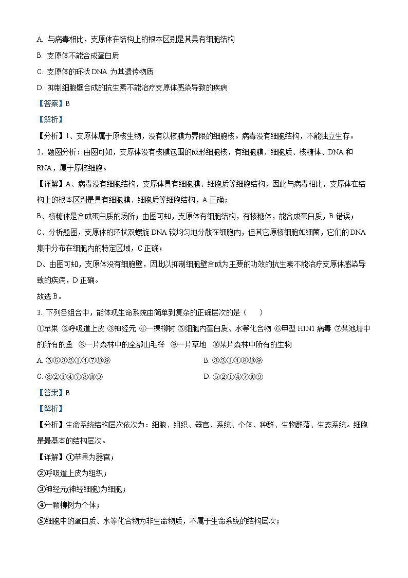 四川省达州市万源中学2023-2024学年高一生物上学期10月月考试题（Word版附解析）第2页