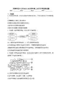 天津市四十七中2023-2024学年高二10月月考生物试题(含答案)