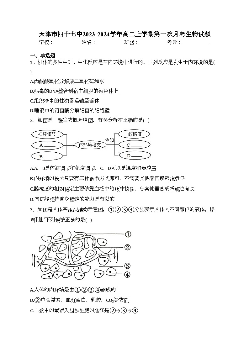 天津市四十七中2023-2024学年高二上学期第一次月考生物试题(含答案)第1页