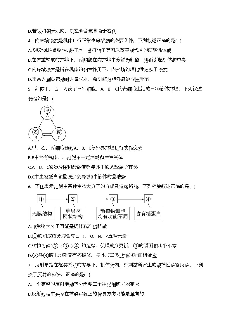 天津市四十七中2023-2024学年高二上学期第一次月考生物试题(含答案)第2页