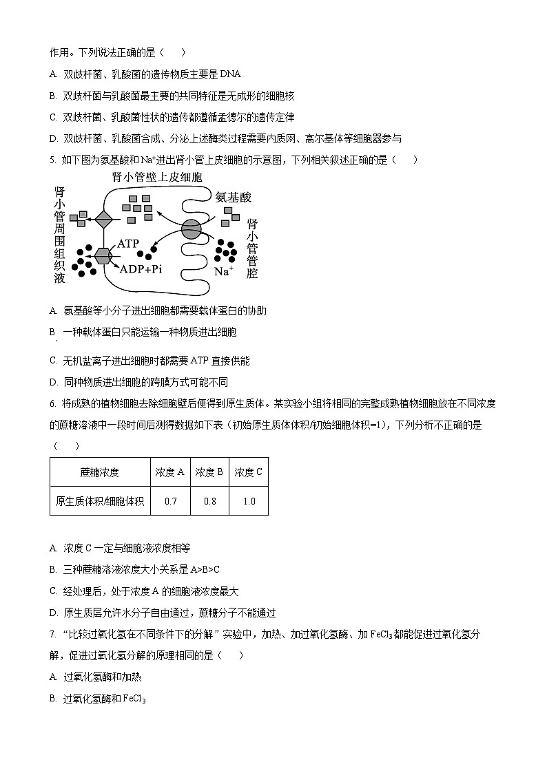 四川省雅安市2023-2024学年高三生物上学期零诊考试试卷（Word版附解析）02