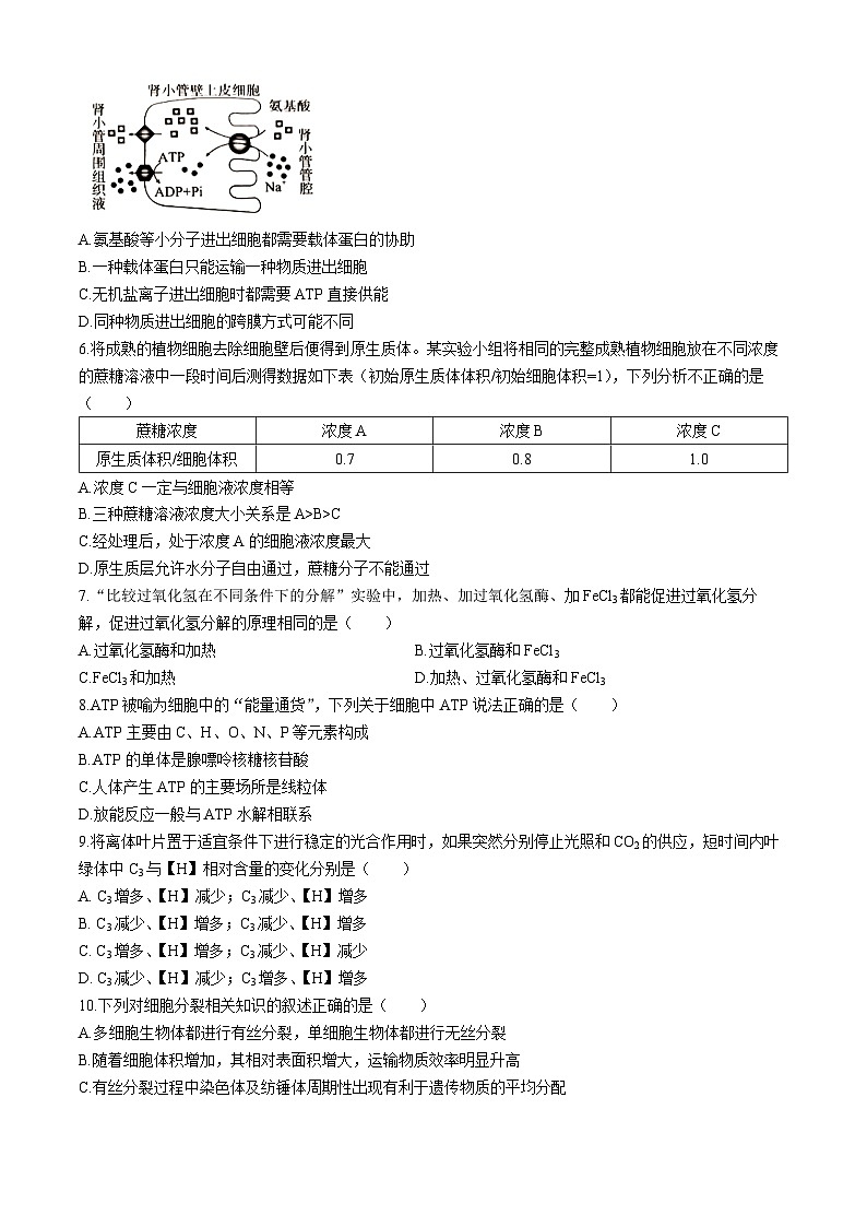 四川省雅安市2023-2024学年高三上学期零诊考试 生物 Word版含解析02