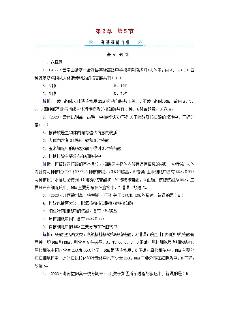新教材适用2023_2024学年高中生物第2章组成细胞的分子第5节核酸是遗传信息的携带者提能作业新人教版必修1第1页