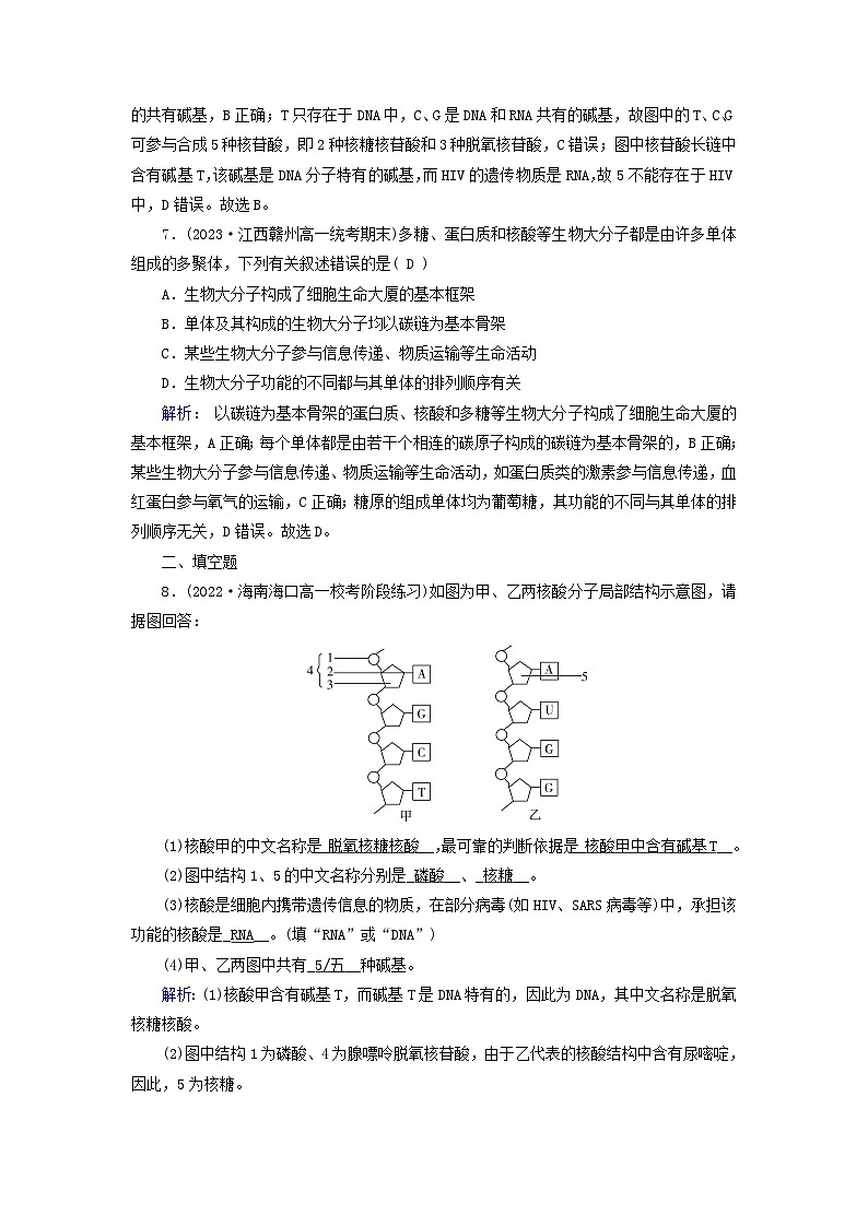 新教材适用2023_2024学年高中生物第2章组成细胞的分子第5节核酸是遗传信息的携带者提能作业新人教版必修1第3页