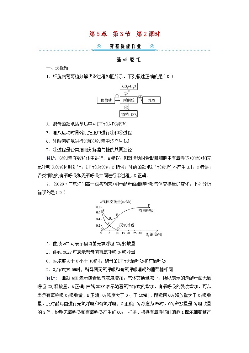 新教材适用2023_2024学年高中生物第5章细胞的能量供应和利用第3节细胞呼吸的原理和应用第2课时无氧呼吸与细胞呼吸原理的应用提能作业新人教版必修1 (1)第1页