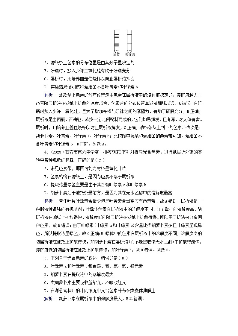 新教材适用2023_2024学年高中生物第5章细胞的能量供应和利用第4节光合作用与能量转化第1课时捕获光能的色素和结构提能作业新人教版必修102