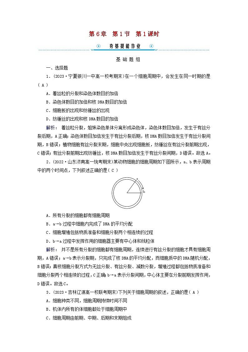 新教材适用2023_2024学年高中生物第6章细胞的生命历程第1节细胞的增殖第1课时细胞周期和有丝分裂的过程提能作业新人教版必修101