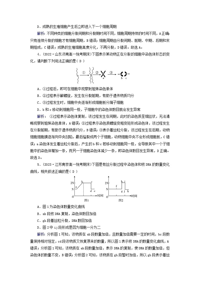 新教材适用2023_2024学年高中生物第6章细胞的生命历程第1节细胞的增殖第1课时细胞周期和有丝分裂的过程提能作业新人教版必修102