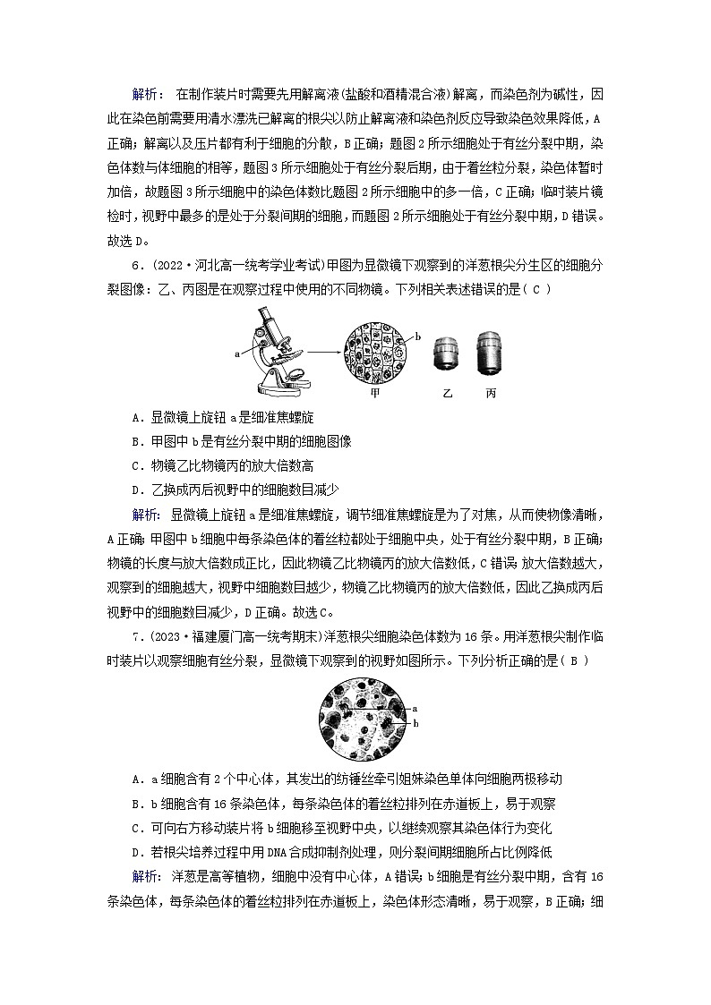 新教材适用2023_2024学年高中生物第6章细胞的生命历程第1节细胞的增殖第2课时动物细胞的有丝分裂及无丝分裂与观察根尖分生区组织细胞的有丝分裂提能作业新人教版必修103