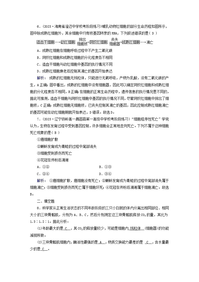 新教材适用2023_2024学年高中生物第6章细胞的生命历程第3节细胞的衰老和死亡提能作业新人教版必修103