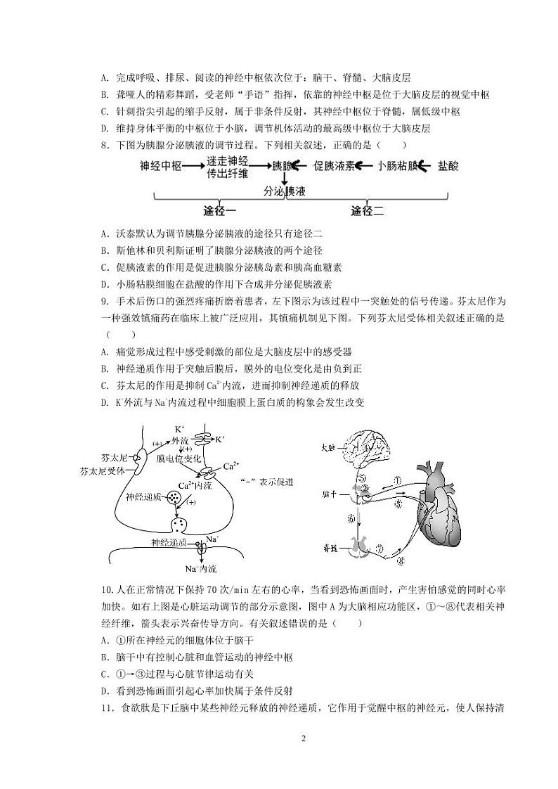 湖南省长沙市同升湖高级中学2023-2024学年高二上学期第一次月考生物试卷02