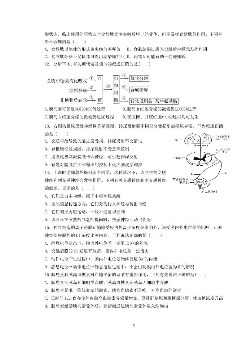湖南省长沙市同升湖高级中学2023-2024学年高二上学期第一次月考生物试卷03