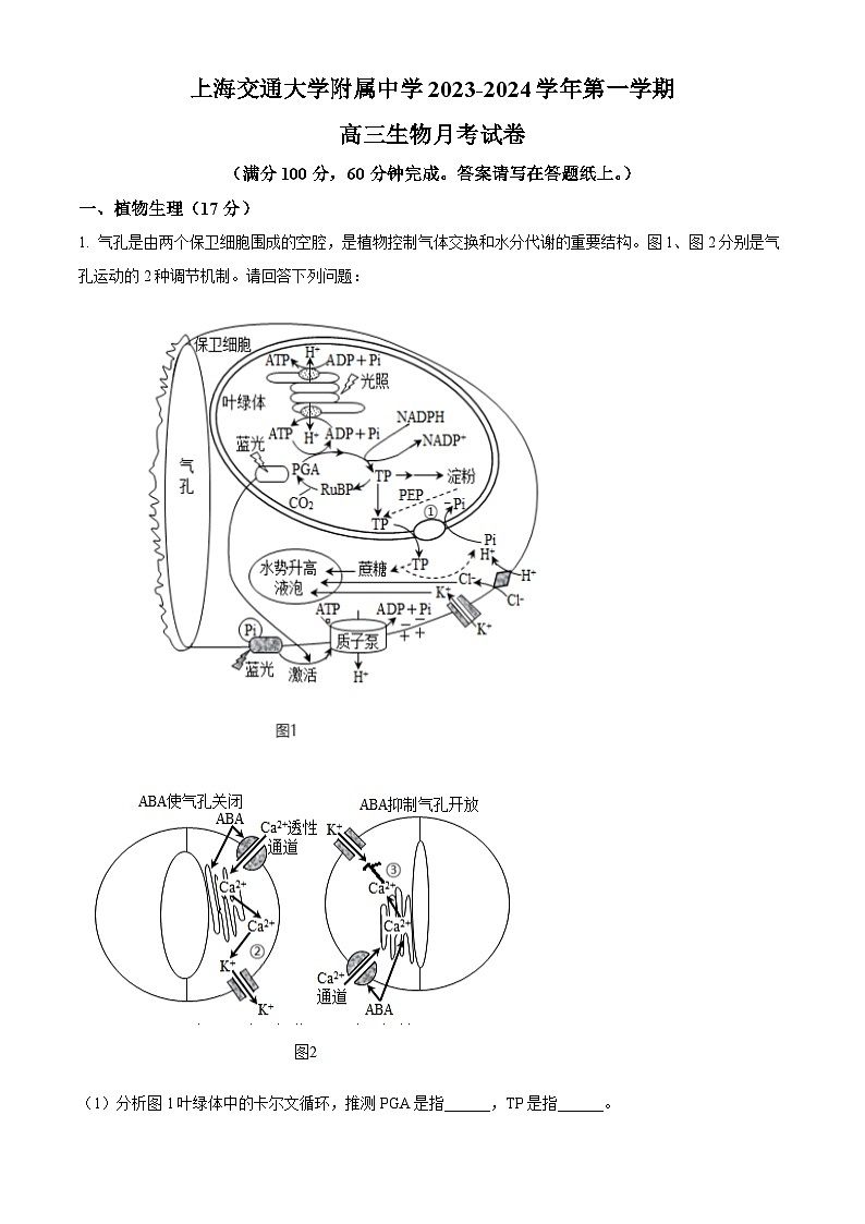 2024上海交大附中高三上学期10月月考试题生物含答案第1页