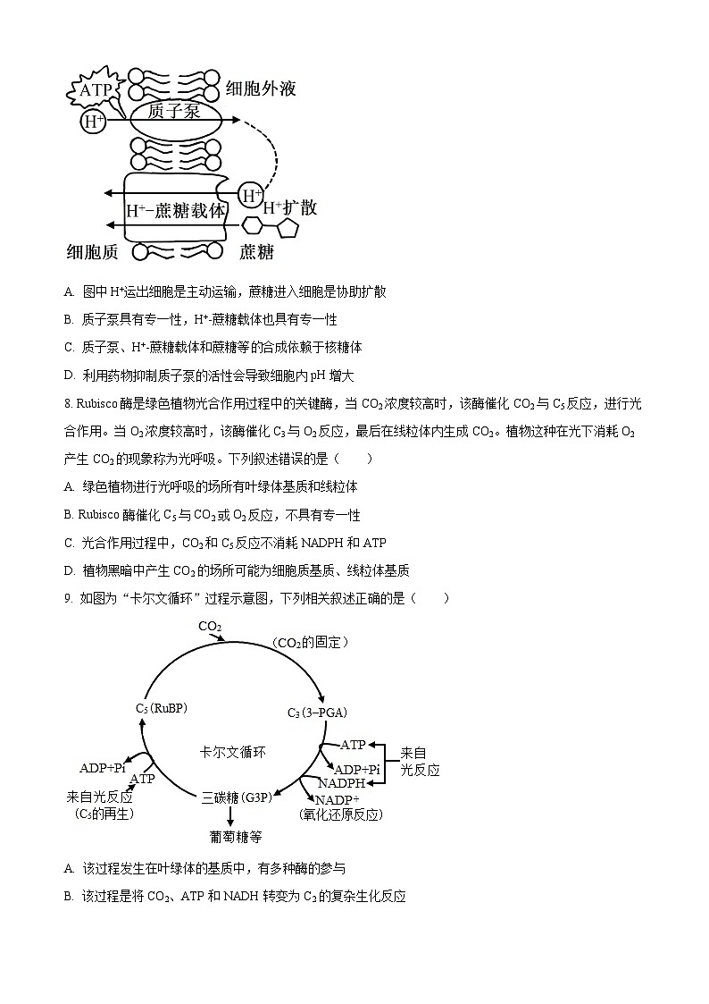 辽宁省沈阳市第二中学2023-2024学年高三上学期10月阶段测试生物第3页