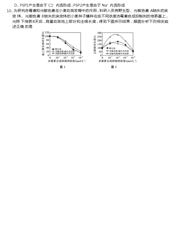 2024湖南省三湘名校教育联盟、湖湘名校教育联合体高三上学期10月大联考试题生物含解析03
