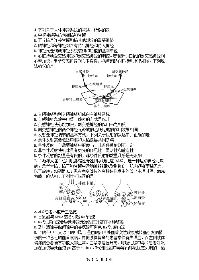 2024德州夏津县育中万隆中英文高级中学高二9月月考生物试题pdf版含解析02
