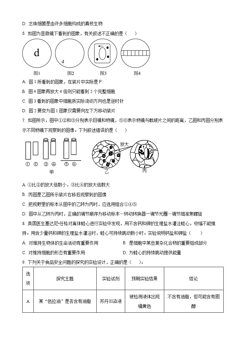 2024四川省仁寿一中南校区高一上学期10月月考生物试题含解析02