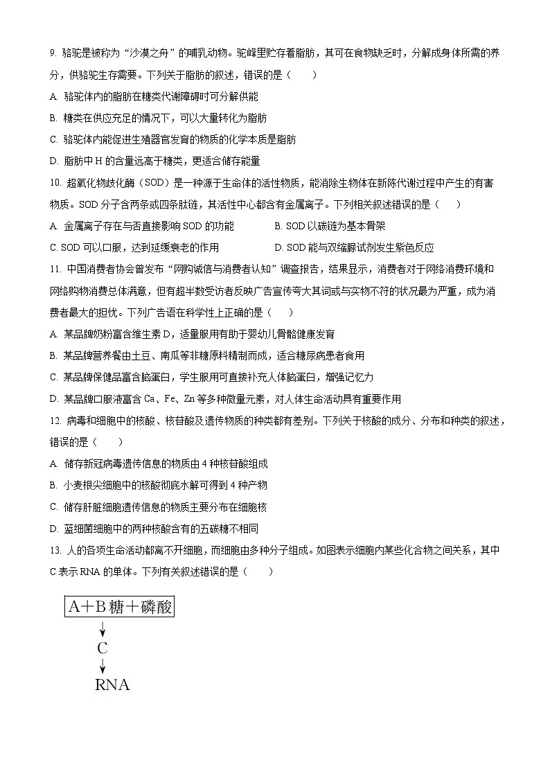 2024沧州七县联考高一上学期10月期中考试生物含解析03