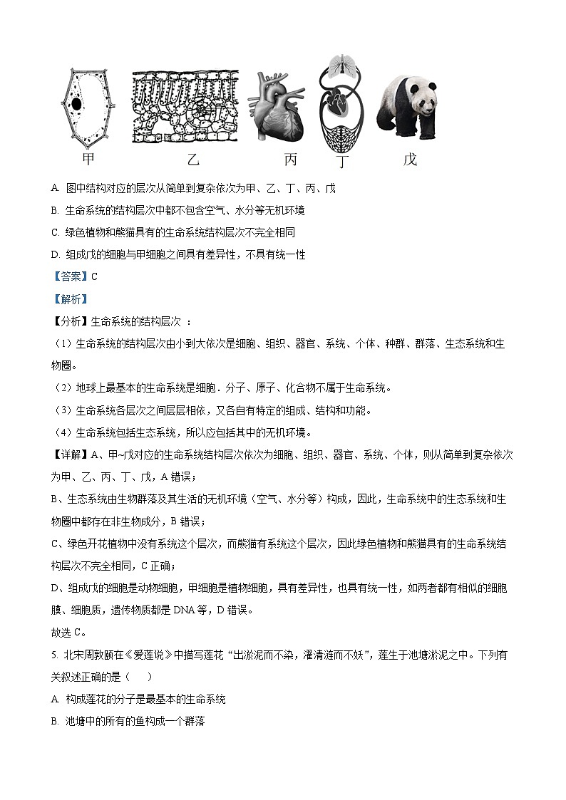 重庆市铜梁一中等三校2023-2024学年高一10月联考生物试题含解析第3页